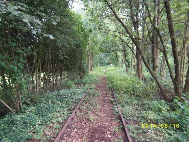 ZWNEGI29